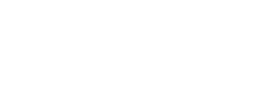 Roonsoft logo