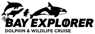 Bay Explorer
